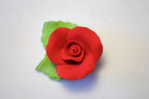 Red Roses With Leaves - Click Image to Close
